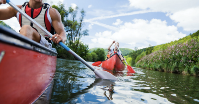If You Participate in Paddling Sports…You Need to Read This! image